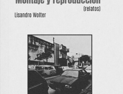 Montar la memoria, fragmentar la experiencia. Reseña de «Montaje y reproducción»